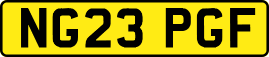 NG23PGF