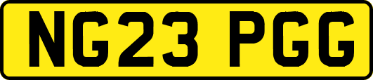 NG23PGG