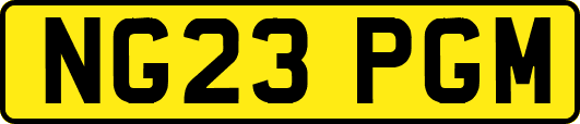 NG23PGM