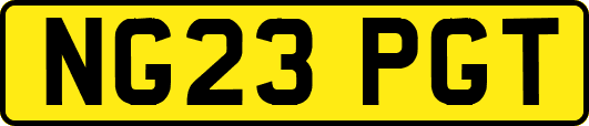 NG23PGT