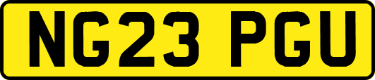 NG23PGU