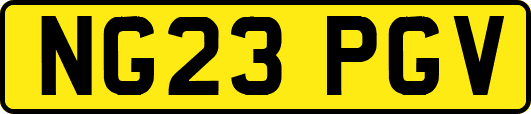 NG23PGV