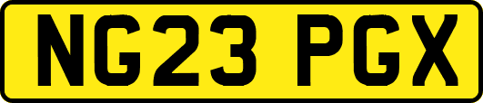 NG23PGX
