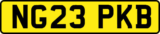 NG23PKB