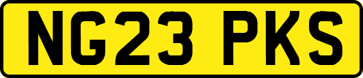 NG23PKS