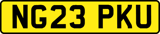 NG23PKU