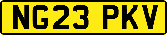 NG23PKV