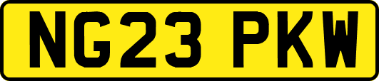 NG23PKW