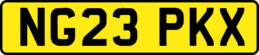NG23PKX