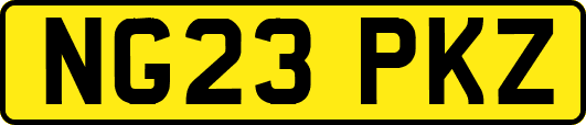 NG23PKZ