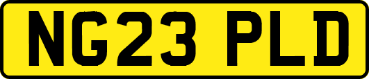 NG23PLD
