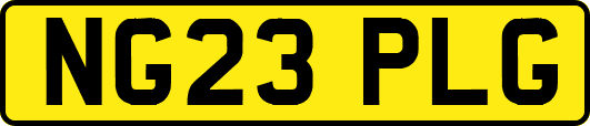 NG23PLG