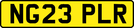 NG23PLR