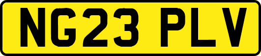 NG23PLV