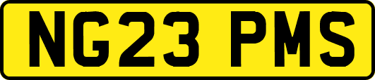 NG23PMS