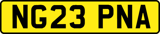 NG23PNA