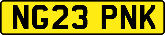 NG23PNK