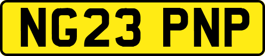 NG23PNP