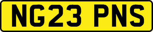 NG23PNS