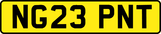NG23PNT