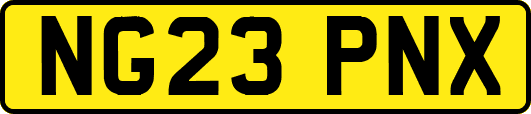 NG23PNX