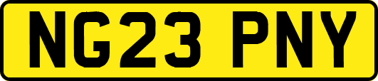 NG23PNY