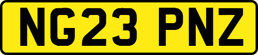 NG23PNZ