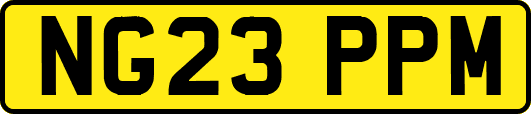 NG23PPM