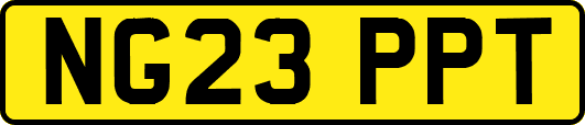 NG23PPT