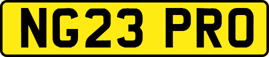 NG23PRO