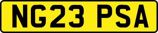 NG23PSA