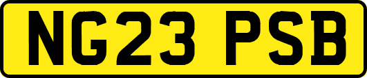 NG23PSB