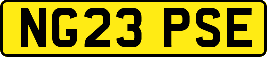 NG23PSE