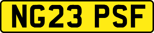NG23PSF