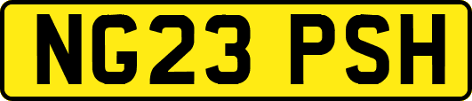 NG23PSH
