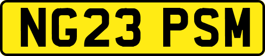 NG23PSM