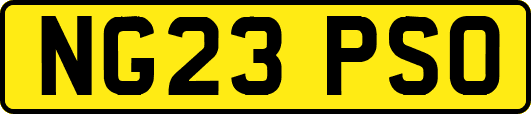 NG23PSO