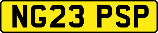 NG23PSP