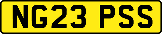 NG23PSS