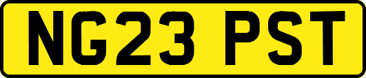 NG23PST