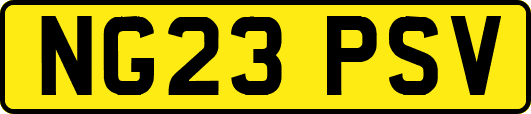 NG23PSV