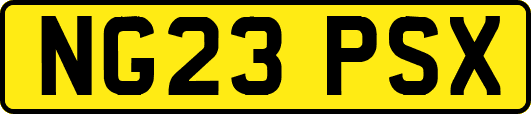 NG23PSX