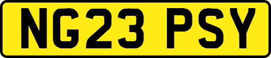 NG23PSY