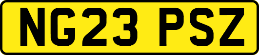 NG23PSZ