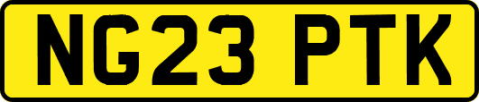 NG23PTK