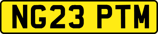 NG23PTM