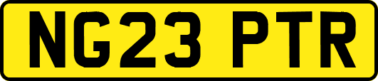 NG23PTR