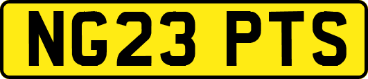 NG23PTS