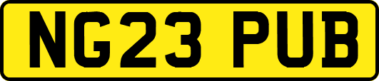NG23PUB