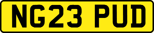 NG23PUD